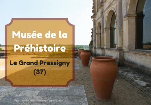 Visite du Musée de la préhistoire Le Grand Pressigny