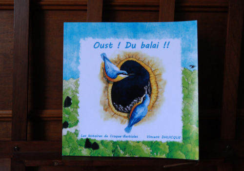 Album jeunesse "Oust ! Du balai !!"