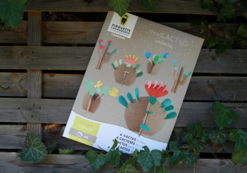 Kit créatif "mes cactus colorés" Pirouette Cacahouète